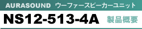 E[t@[Xs[J[jbg AURASOUND NS12-513-4A iTv