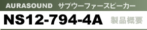 TuE[t@[ Xs[J[jbg AURASOUND NS12-794-4A iTv